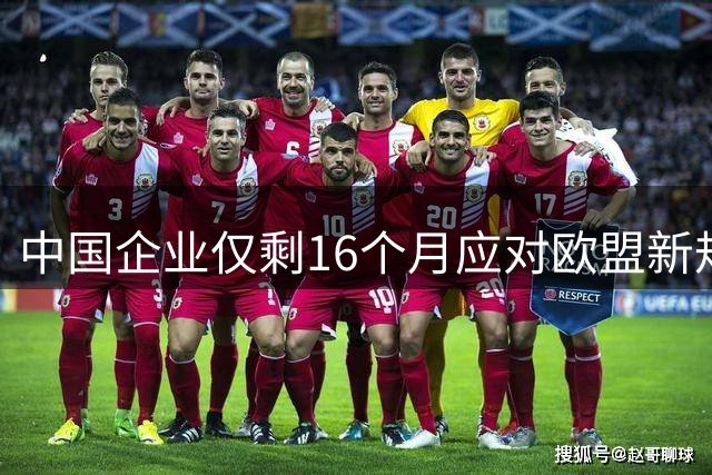 中国企业仅剩16个月应对欧盟新规挑战